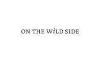 On The Wild Side