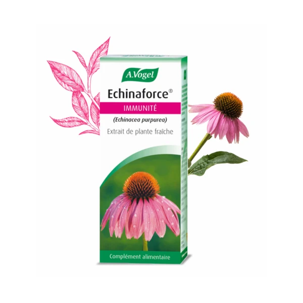 Echinaforce 100 ml