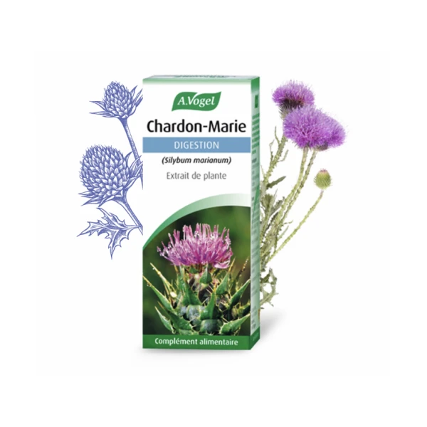 A.Vogel Digestion Chardon-Marie Extrait de Plante 50 ml