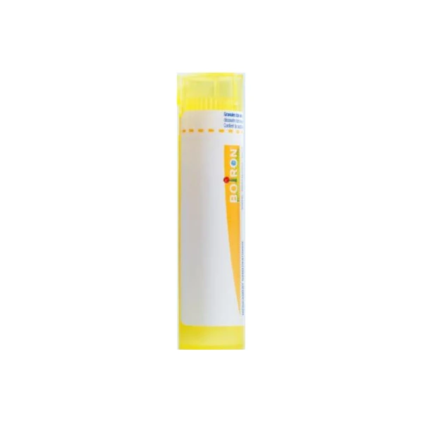 BOIRON RENINE 4CH Tube-Granule