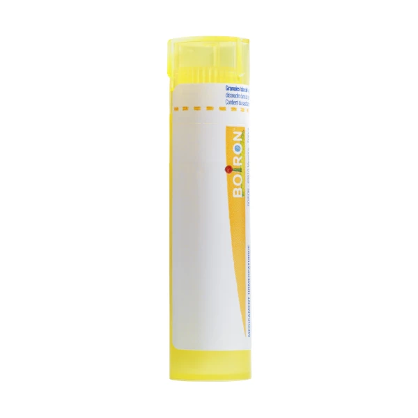 BOIRON NERFS 4CH tube-granules