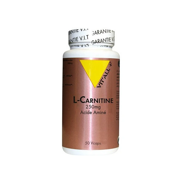 Vit'All+ L-carnitine Acide Amine 250mg 50 gélules