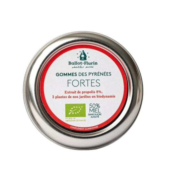 Gommes Fortes Bio - 30 g