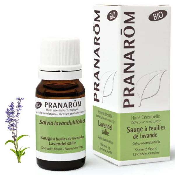 Pranarôm Sauge à feuilles de lavande Huile Essentielle Bio