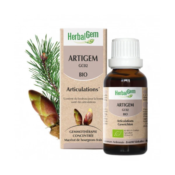 Artigem Bio Pour le Maintien de la Souplesse Des Articulations Complexe de Gemmothérapie Concentrée 30 ml