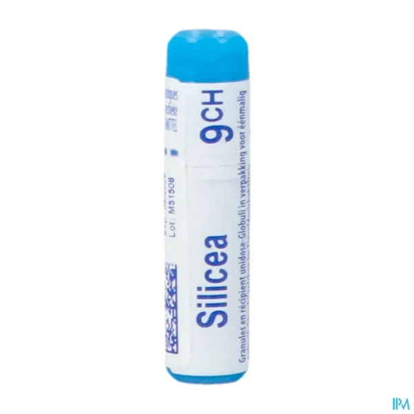 Boiron Silicea dose