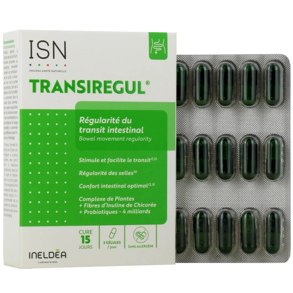 Ineldea Transiregul