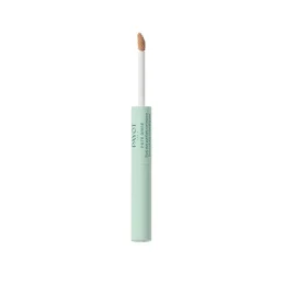 Payot Pâte grise Stylo Duo Purifiant Correcteur 2x3ml