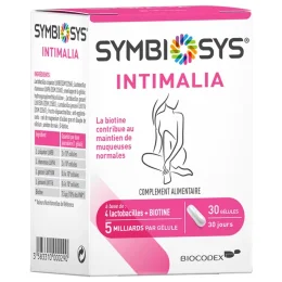 Symbiosys Intimalia