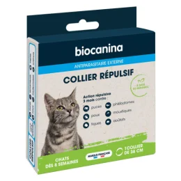 Collier Repulsif Chaton Chat