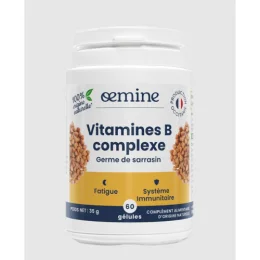OEMINE VITAMINE B COMPLEXE - 180 Gelules
