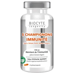 5 Champignons
