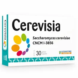 Cerevisia