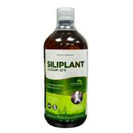 SILICIUM G7 SILIPLANT - Silicium Biodisponible1L