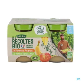 Blédina Bio 2XPOMME Ana +2 Pomme Banane Ki