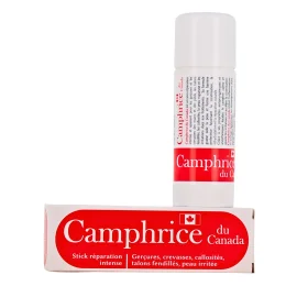 Camphrice du Canada