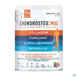 Chondrosteo+ Max Douleurs Articulaires — Pot 226 g
