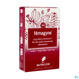 FEMAGYNE EQUILIBRE FEMININ - 40 Comprimes