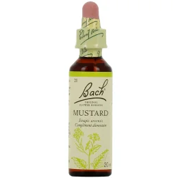 Fleurs de Bach Mustard n°21