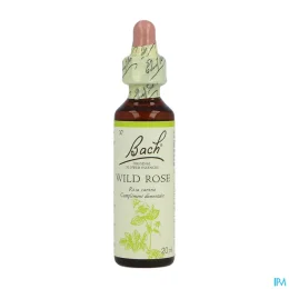 Fleurs de Bach Wild Rose n°37