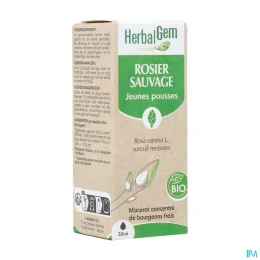 Herbalgem Rosier Sauvage Bio