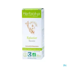 HERBIOLYS GEMMOTHERAPIE Eglantier Sans Alcool Bio - 30ml
