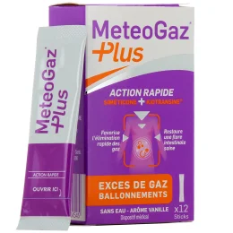 Meteogaz Plus