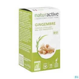 Naturactive Gingembre Bio