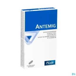 Pileje Antemig