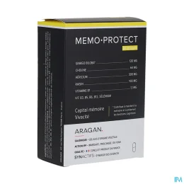 Synactifs Memo Protect Capital Mémoire