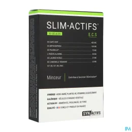 Synactifs Slim Actifs Minceur