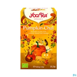 Yogi Tea Pumpkin Chai