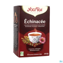 Yogi Tea Tisane Ayurvédique Echinacée