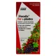 Floradix Fer + Plantes