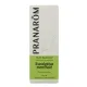 Pranarom huile essentielle d'Eucalyptus mentholé
