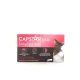 Capstar Chat Traitement Anti-Puces