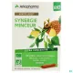 Arkofluides Synergie Minceur Bio 20 ampoules