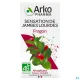 Arkogélules FRAGON 45 gélules