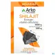 Arkogelules Shilajit Gélules