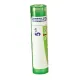 Boiron Agraphis nutans granules