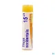 Boiron Thuya occidentalis dose