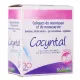 Cocyntal