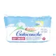 Cotocouche