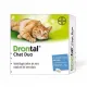 Drontal Vermifuge Chat