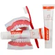 Elmex Dentifrice anti-caries