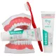 Elmex Répare et Prévient