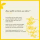 Fleurs de Bach Gorse n°13