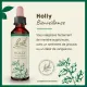 Fleurs de Bach Holly n°15