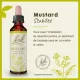 Fleurs de Bach Mustard n°21