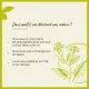 Fleurs de Bach Mustard n°21